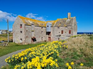 We are over the moon