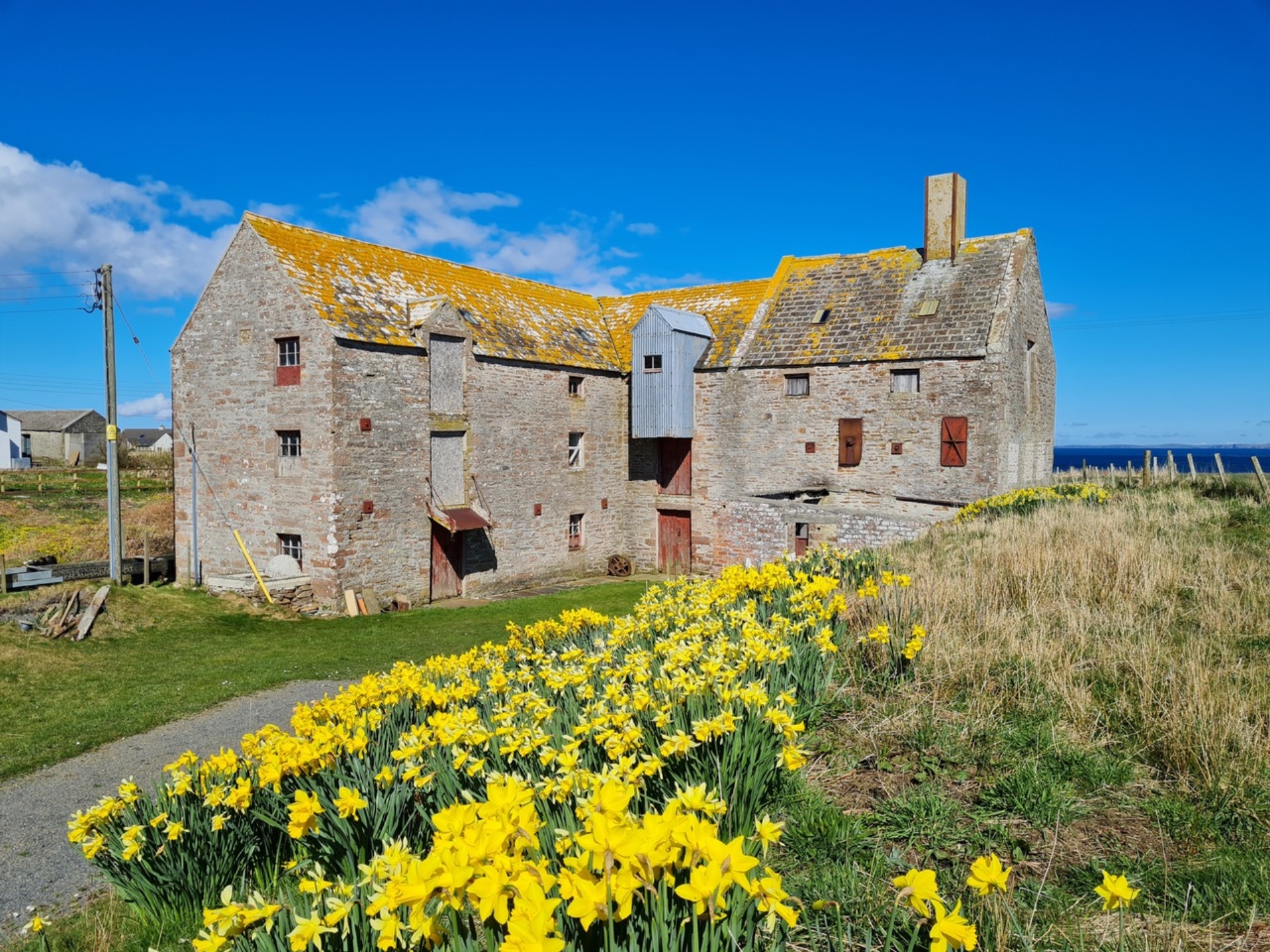 We are over the moon